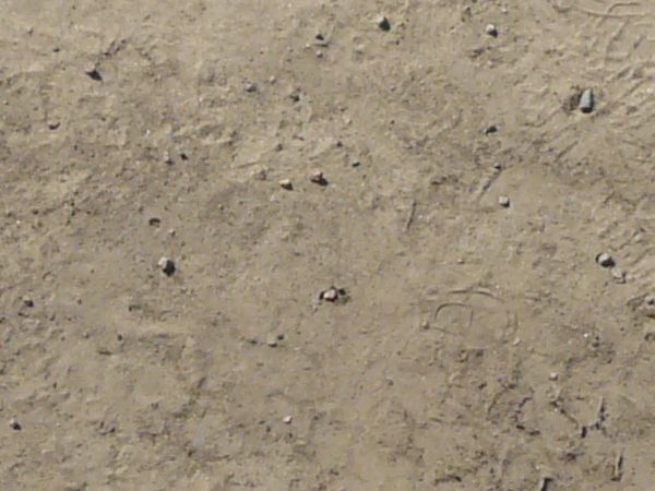 Tan asphalt texture, covered by a layer of sandy soil with marks, tire treads and rocks visible in it.